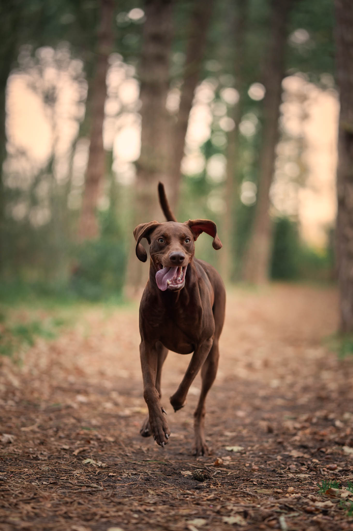Portretshoot op locatie met warme kleuren – buitenportret in de Kop van Noord-Holland door Ilse Verbruggen