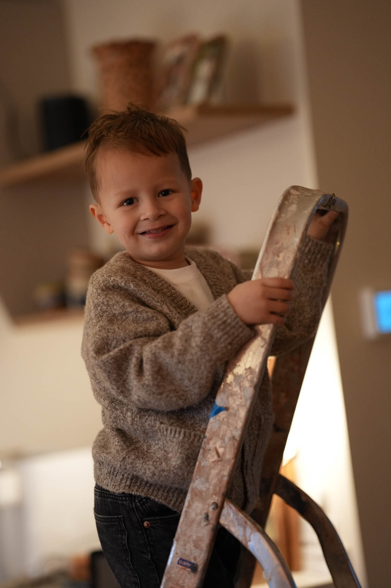 Kattenfoto in het bos – lifestyle kattenfotograaf in Hollands Kroon, Noord-Holland